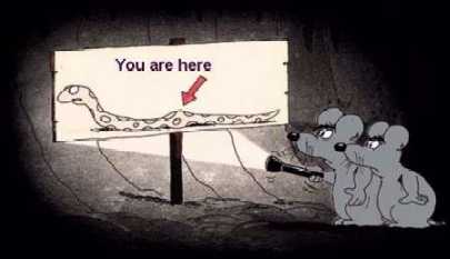 You Are Here